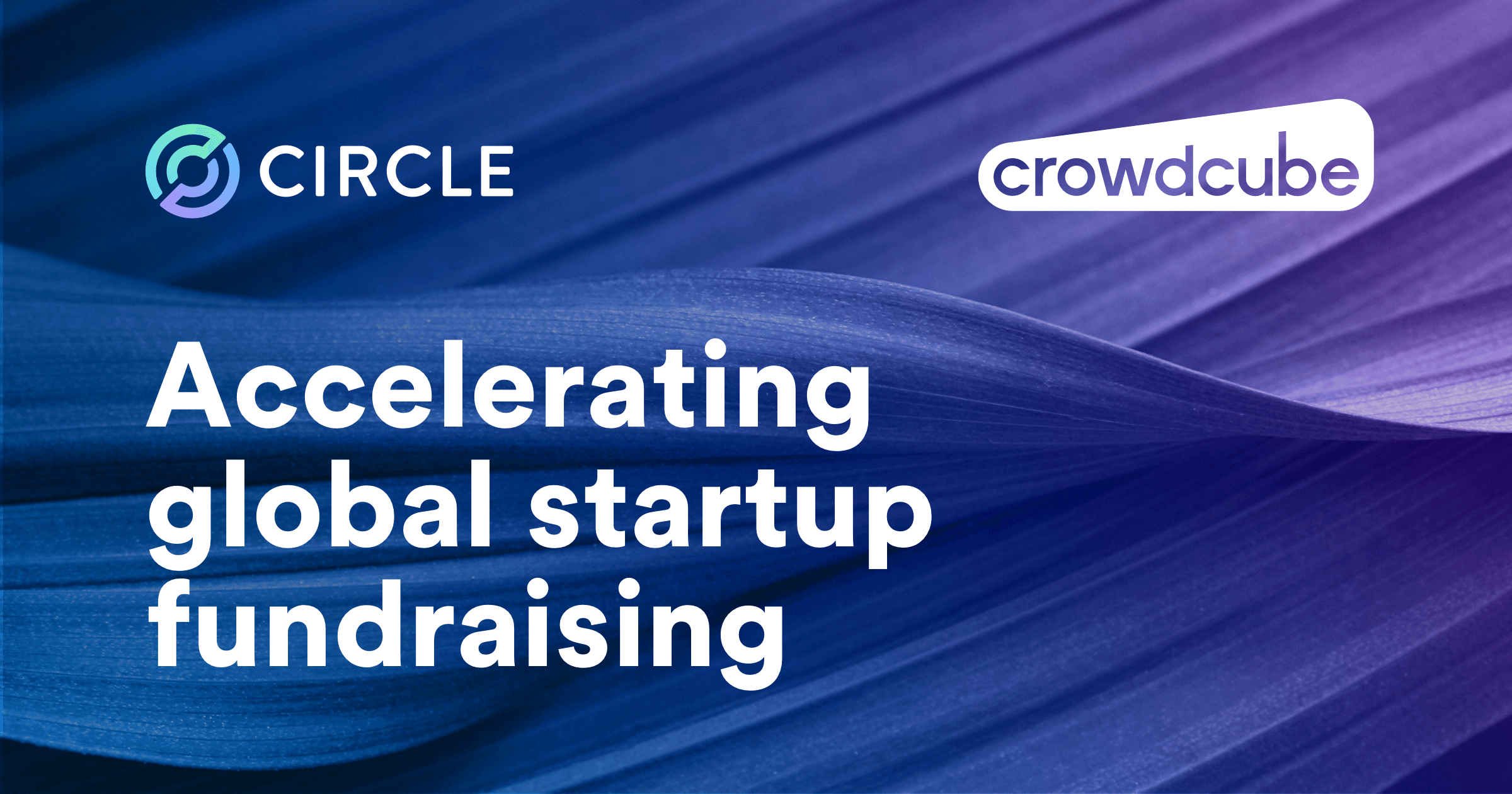 Circle Leads Investment into Crowdcube to Accelerate Global Digital Startup Fundraising